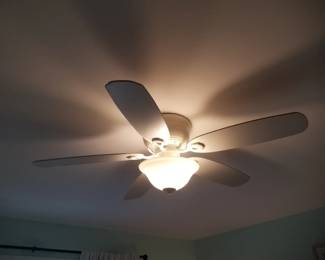 Lighted ceiling fan