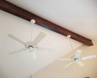 Ceiling fans