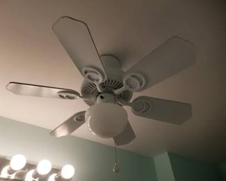 Lighted ceiling fan
