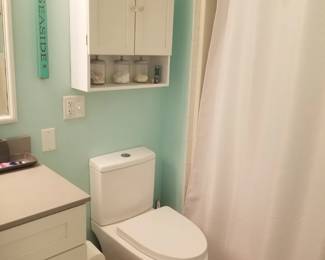 Bathroom cabinet; dual flush commode