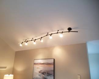 Track lights