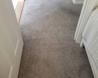 Wall-to-wall carpeting in great condition