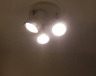Light fixture