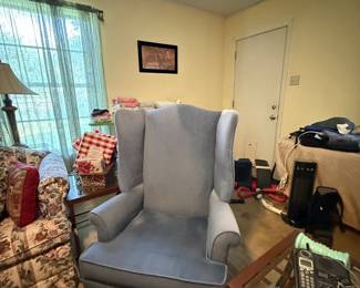 Velvet Wing Chair