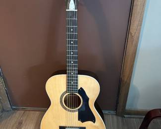 Vintage 12 string acoustic guitar 