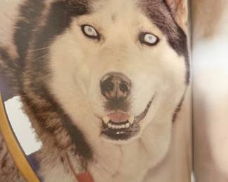 Husky