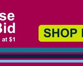 Browse Bid berry