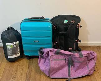 Luggage Sleeping Bag