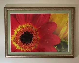 Framed Red Gerbera Daisy Art