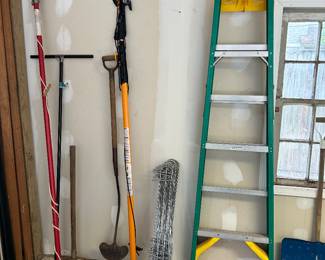 Ladders/tree trimmers