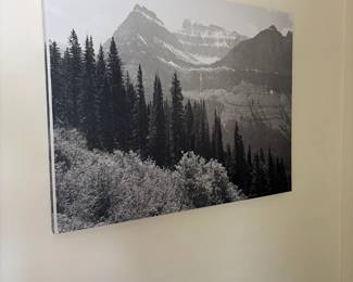 $140. Mountain scene photographic art. 40 inches wide by 30 inches high.
