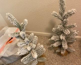 Several various Christmas trees