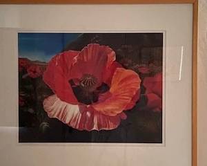 Katakis framed giclee