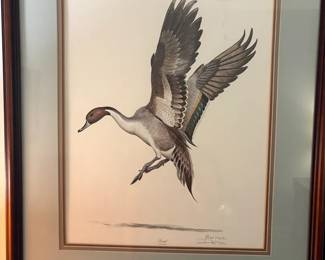 Duck Print By Ray Harm
