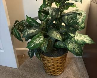 Artificial Plant