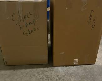 Shell Lamp In Box