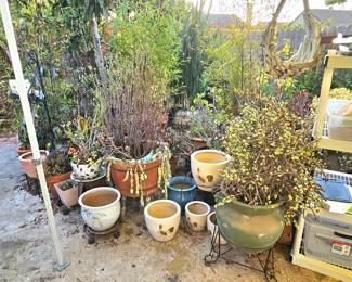 Potted plants/ceramic pots.
