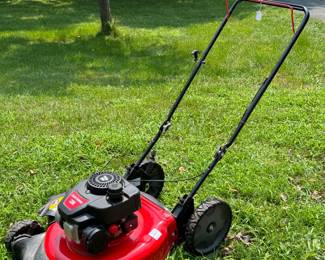 Automatic Push Mower