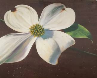 Three Signed Limited Edition Nature and Landscape Art Prints