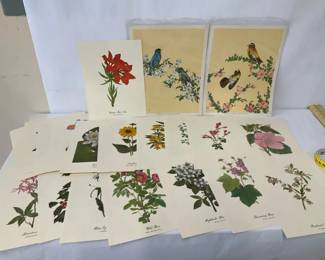 Wild Flowers of America Smithsonian Print Collection 18 Botanical Prints with Bird Prints