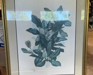 Framed Signed Bird Botanical Art Print