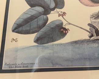 “The Blew-bird”