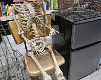 Dorm Fridge, Full-Size Skeleton