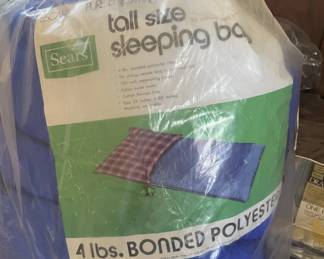 Sleeping Bag x 2