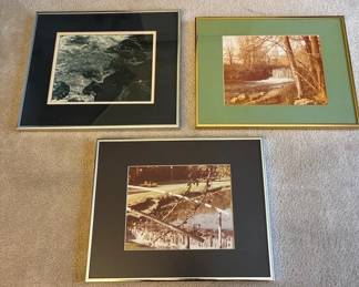 3 Nature Prints