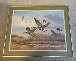 Framed Swan Print