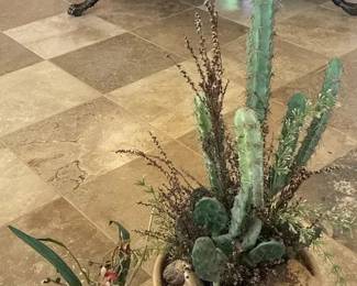 Two Cacti Arrangements