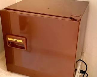 Avanti Mini Fridge