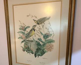 Richard Sloan Meadowlark Print