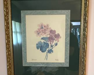 Botanical Prints, Sweet Pea & Geranium, Set of Two