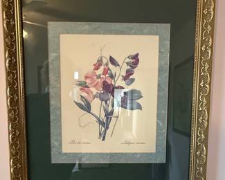 Botanical Prints, Sweet Pea & Geranium, Set of Two