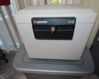 Sentry Fire Safe.