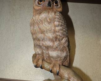Large and heavy Owl on tree limb.