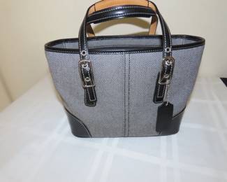 Coach Purse.
