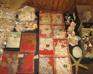 Shells