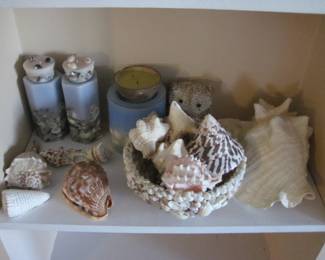 Shells