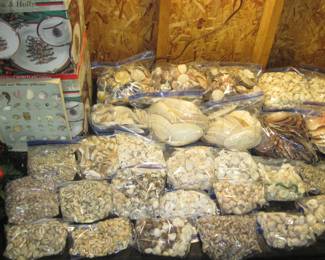 Shells