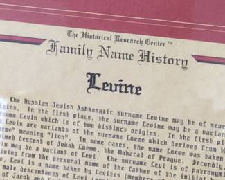 The Historical Research Center Family Name History Print - Levine