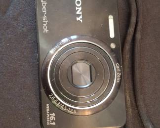 Sony Cyber-shot DSC-W570 Digital Camera
