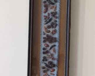Vintage Botanical Seed Pod Shadow Box