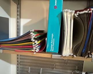 Office Organization Lot: Avery Sheet Protectors and Hanging File Folders