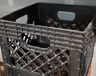 Vintage Dean Foods Plastic Milk Crate