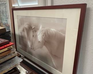 Ted Hammond Horse Photography Print