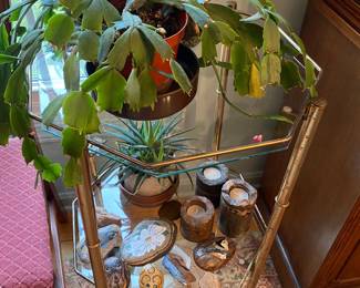 Plants