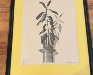  18”×22” Wade White Signed Original Botanical Drawing – Professionally Framed