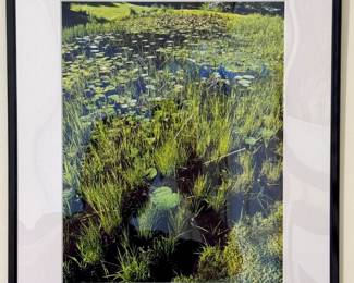 16”x20” Jeffrey Marqusee Serene Water Lily Pond Photograph - Professionally Framed
